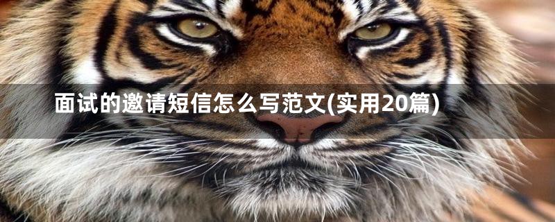 面试的邀请短信怎么写范文(实用20篇)