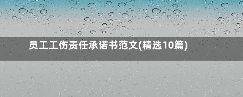 员工工伤责任承诺书范文(精选10篇)