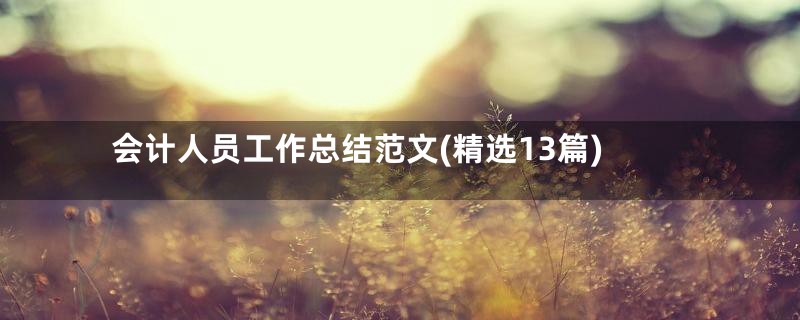 会计人员工作总结范文(精选13篇)