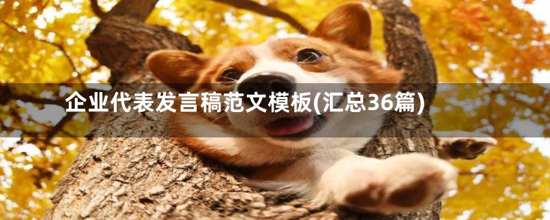 企业代表发言稿范文模板(汇总36篇)