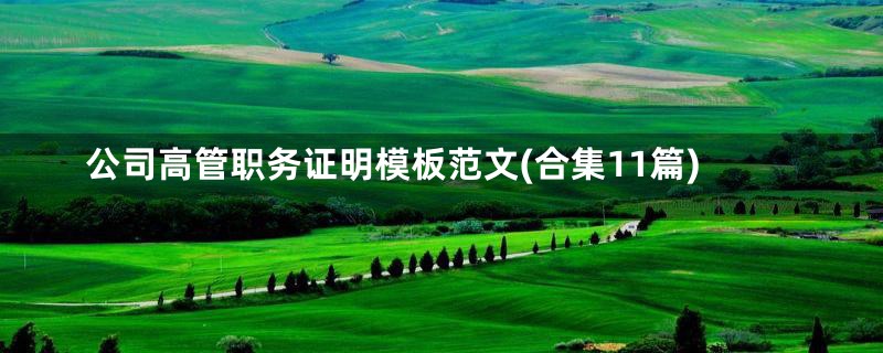 公司高管职务证明模板范文(合集11篇)