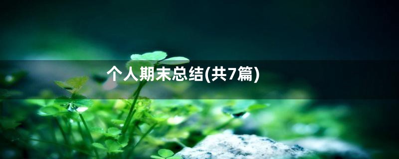 个人期末总结(共7篇)