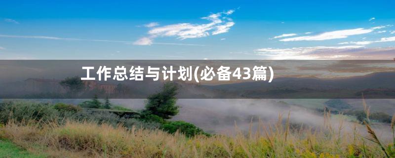 工作总结与计划(必备43篇)