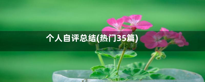 个人自评总结(热门35篇)