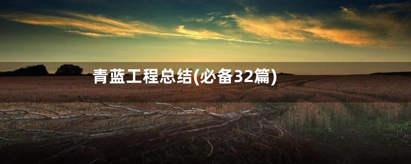 青蓝工程总结(必备32篇)