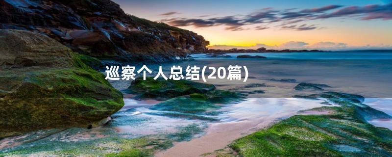 巡察个人总结(20篇)
