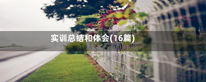 实训总结和体会(16篇)