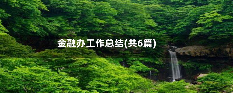 金融办工作总结(共6篇)