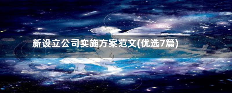新设立公司实施方案范文(优选7篇)