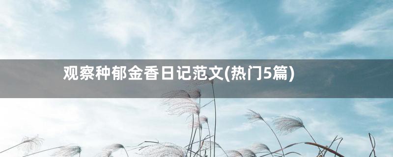 观察种郁金香日记范文(热门5篇)