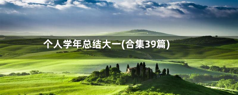 个人学年总结大一(合集39篇)