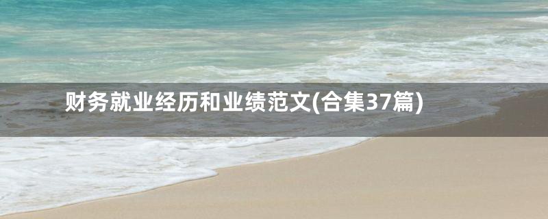 财务就业经历和业绩范文(合集37篇)