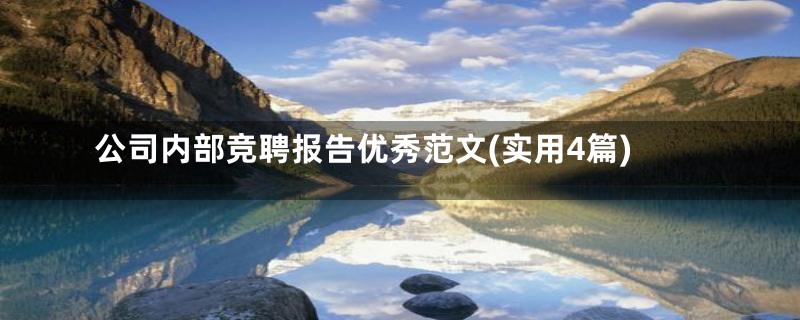 公司内部竞聘报告优秀范文(实用4篇)