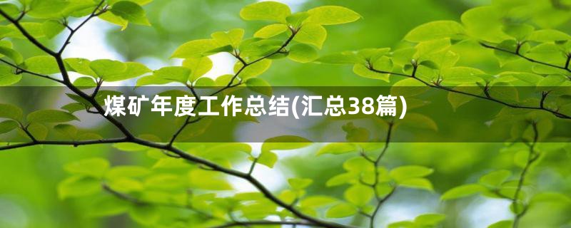 煤矿年度工作总结(汇总38篇)