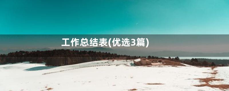 工作总结表(优选3篇)