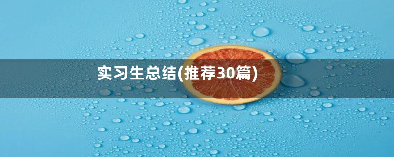 实习生总结(推荐30篇)