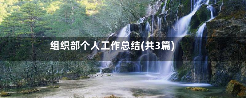 组织部个人工作总结(共3篇)