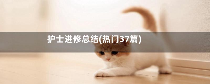 护士进修总结(热门37篇)