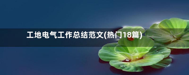 工地电气工作总结范文(热门18篇)