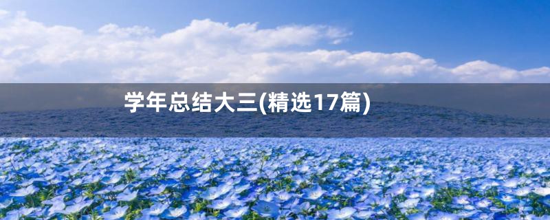 学年总结大三(精选17篇)