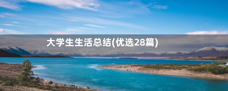 大学生生活总结(优选28篇)