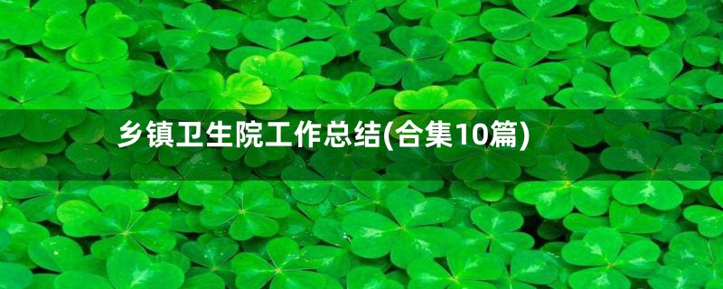 乡镇卫生院工作总结(合集10篇)