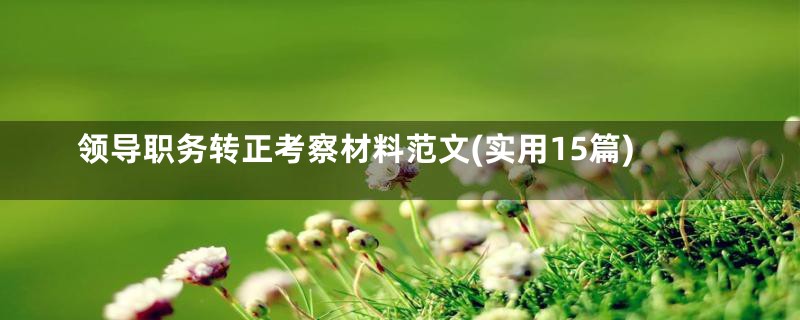 领导职务转正考察材料范文(实用15篇)