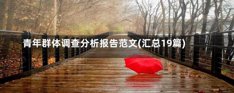 青年群体调查分析报告范文(汇总19篇)