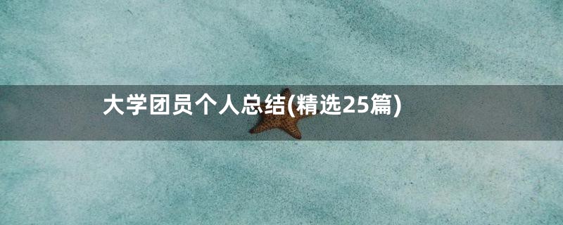 大学团员个人总结(精选25篇)