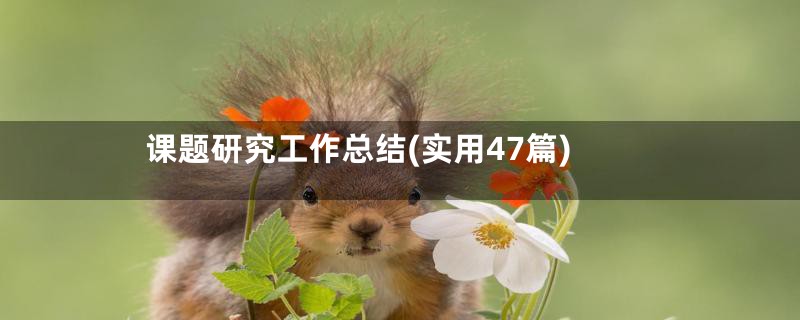 课题研究工作总结(实用47篇)
