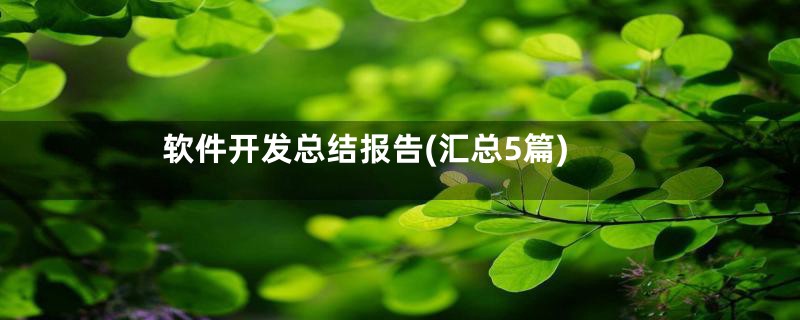 软件开发总结报告(汇总5篇)