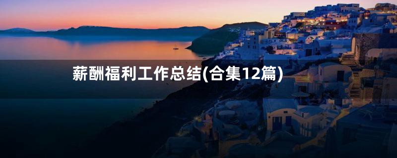 薪酬福利工作总结(合集12篇)