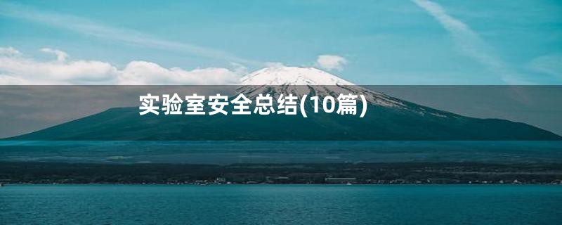实验室安全总结(10篇)