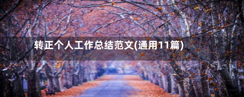转正个人工作总结范文(通用11篇)
