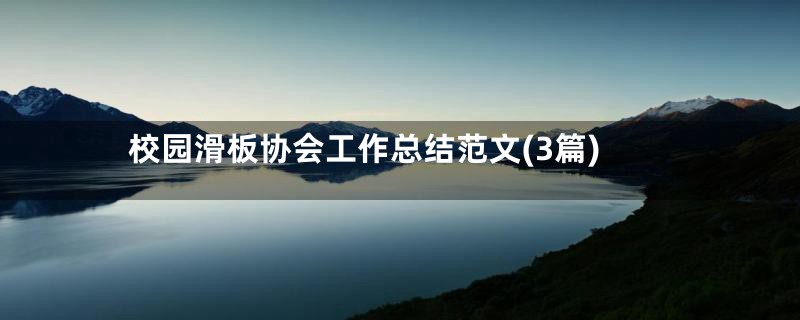 校园滑板协会工作总结范文(3篇)