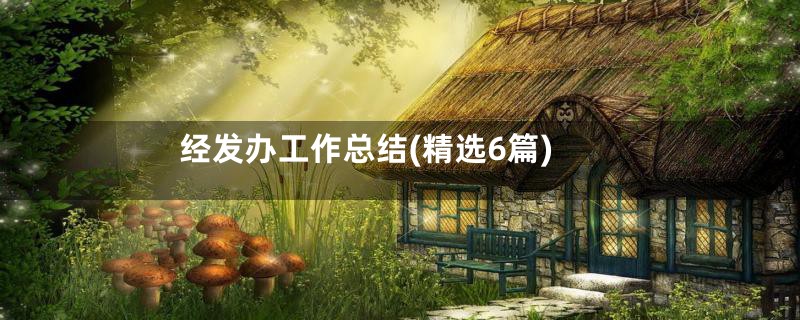 经发办工作总结(精选6篇)