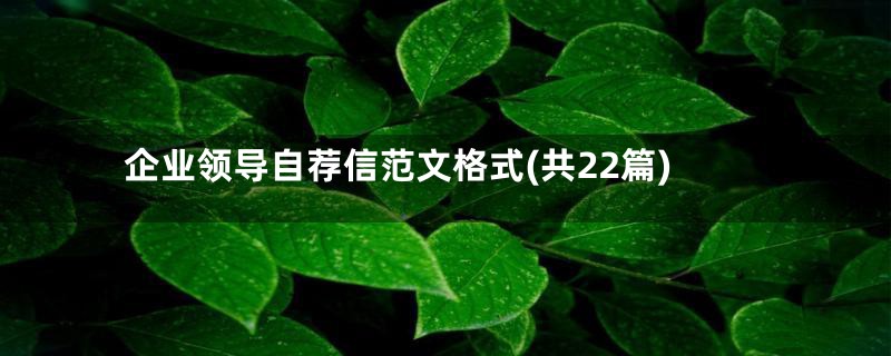 企业领导自荐信范文格式(共22篇)