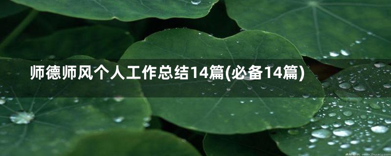 师德师风个人工作总结14篇(必备14篇)