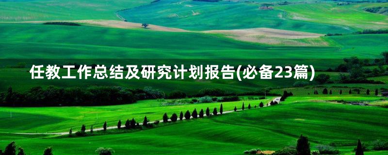 任教工作总结及研究计划报告(必备23篇)