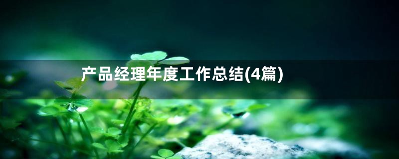 产品经理年度工作总结(4篇)