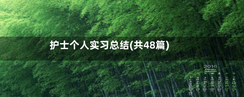 护士个人实习总结(共48篇)