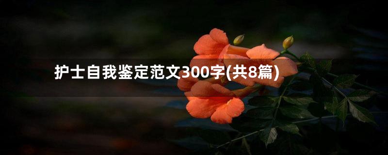 护士自我鉴定范文300字(共8篇)