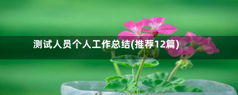 测试人员个人工作总结(推荐12篇)