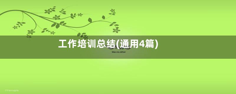 工作培训总结(通用4篇)