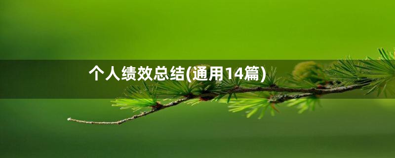 个人绩效总结(通用14篇)