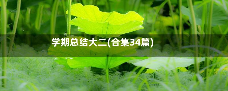 学期总结大二(合集34篇)