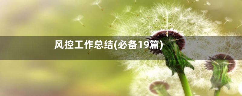 风控工作总结(必备19篇)