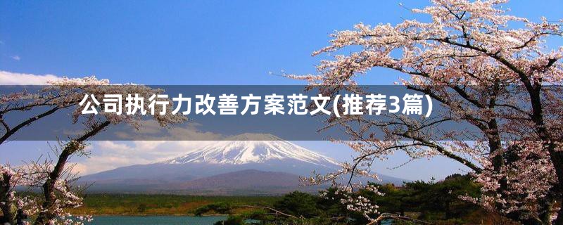 公司执行力改善方案范文(推荐3篇)
