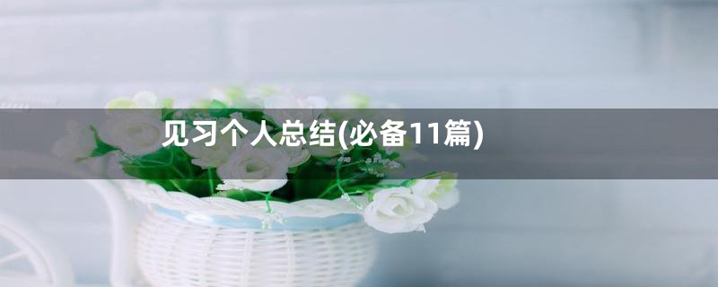 见习个人总结(必备11篇)