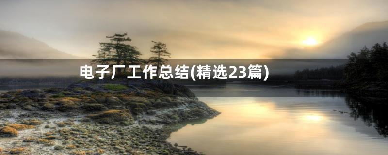 电子厂工作总结(精选23篇)